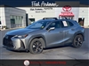 2019 Lexus UX 250h