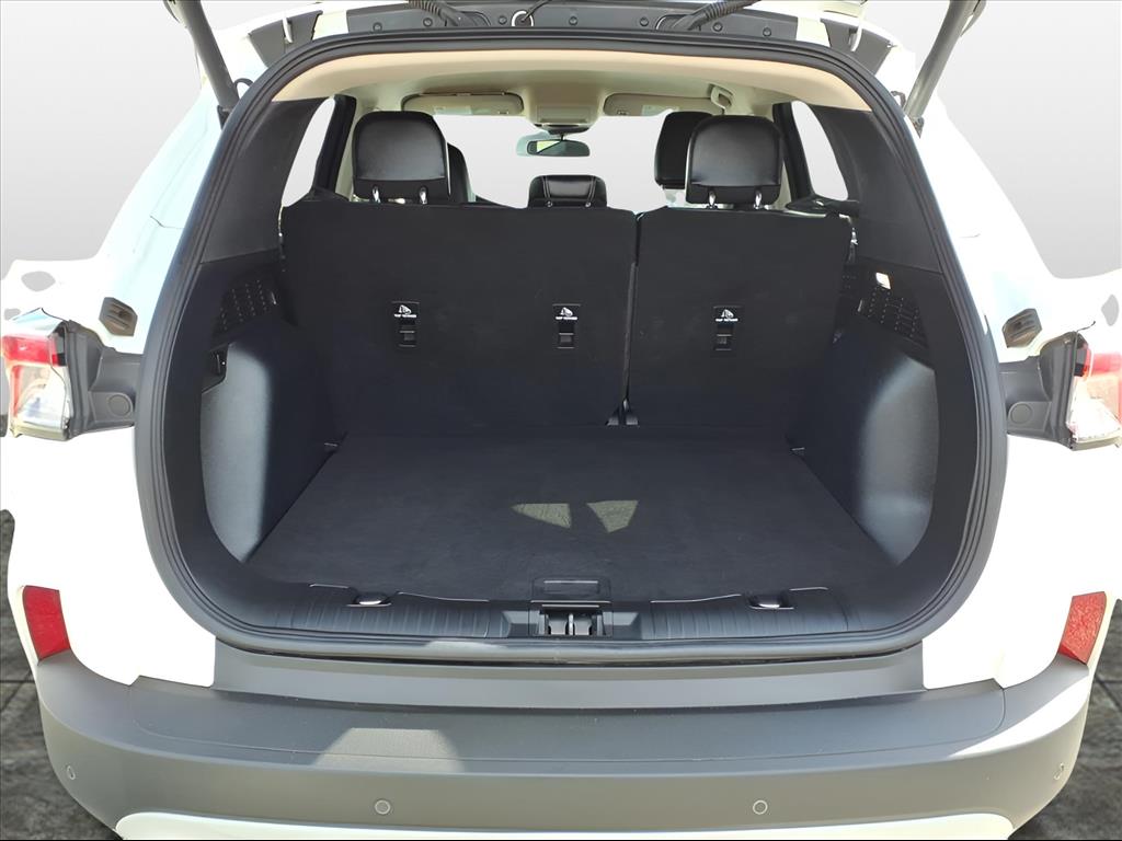 Used Car 2020 Ford Escape  Sel For Sale Under $20,000 In Bastrop, Texas