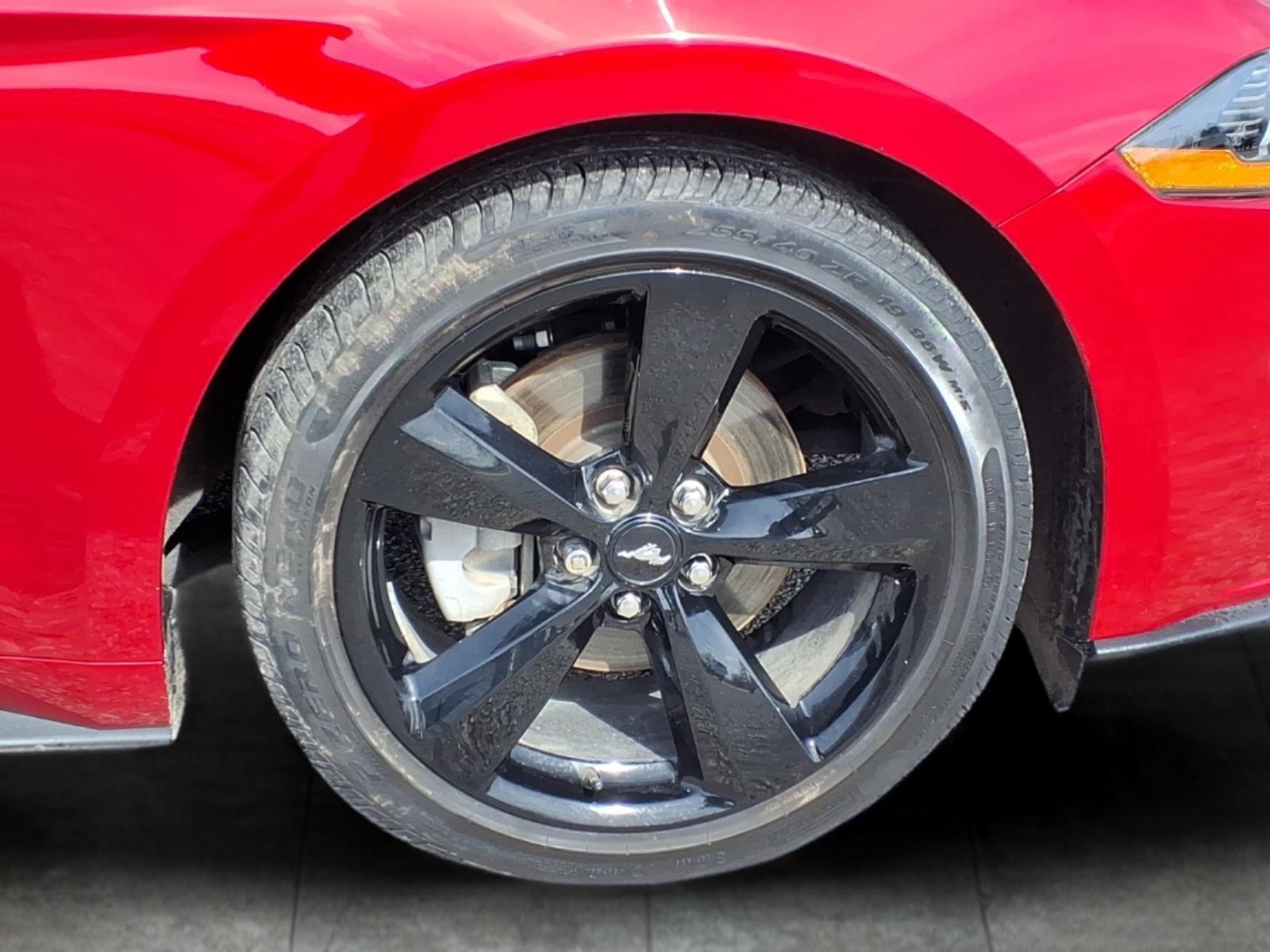 Used Car 2023 Ford Mustang  Ecoboost For Sale Under $30,000 In Bastrop, Texas