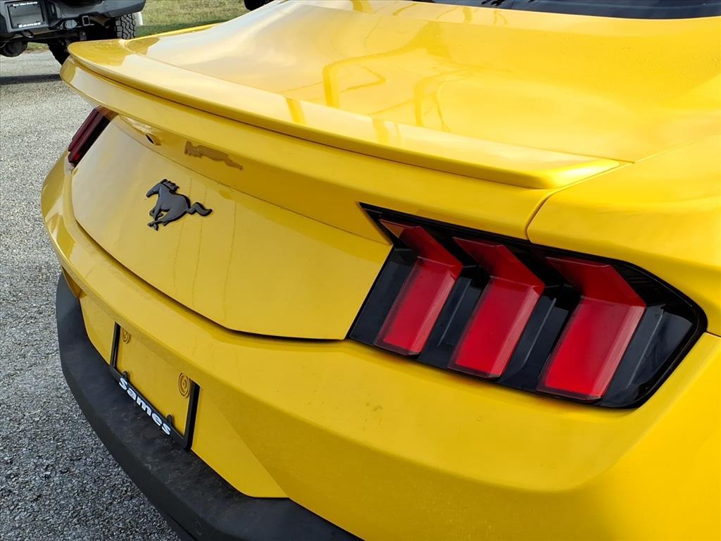 Used Car 2024 Ford Mustang  Ecoboost Premium For Sale Under $40,000 In Bastrop, Texas