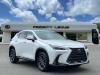 2025 Lexus NX 350