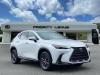 2025 Lexus NX 350