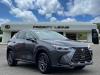 2024 Lexus NX 350