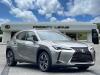 2019 Lexus UX 200