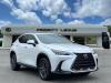 2025 Lexus NX 350