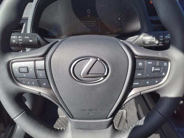 2025 Lexus UX 300h 300h Premium