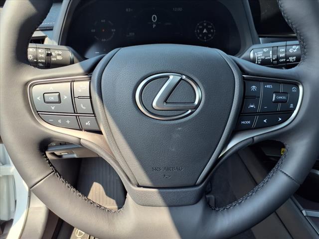 2025 Lexus UX 300h 300h F SPORT Design