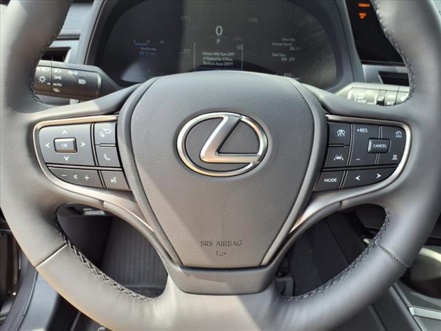 2025 Lexus UX 300h 300h Premium