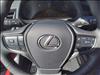 2025 Lexus UX 300h 300h Premium