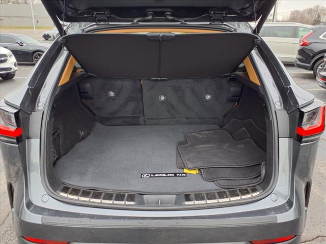 2025 Lexus NX 350 Premium