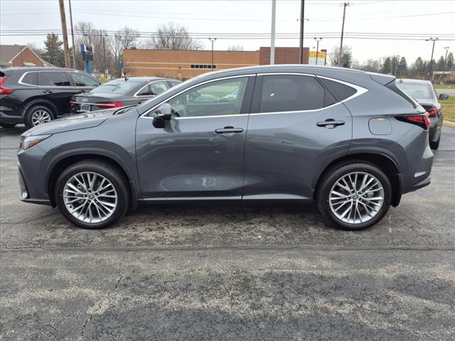 2025 Lexus NX 350 Premium