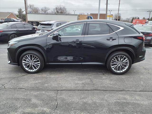 2025 Lexus NX 350h Premium