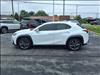 2021 Lexus UX 250h F SPORT