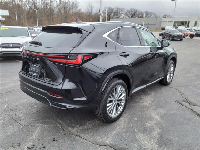 2025 Lexus NX 350h Premium