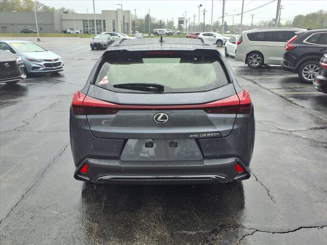 2024 Lexus UX 250h F SPORT Handling