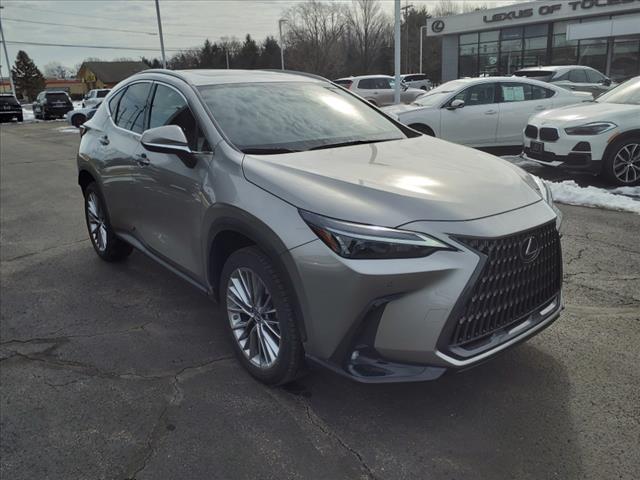 2022 Lexus NX 350 Luxury
