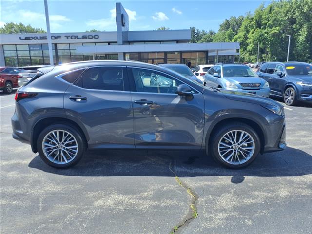 2025 Lexus NX 350 Premium