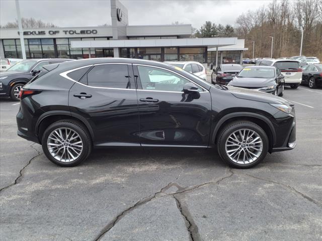 2025 Lexus NX 350h Premium