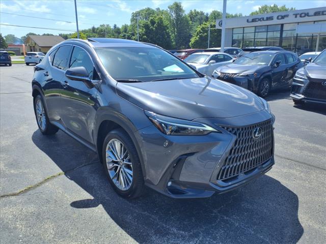2025 Lexus NX 350 Premium
