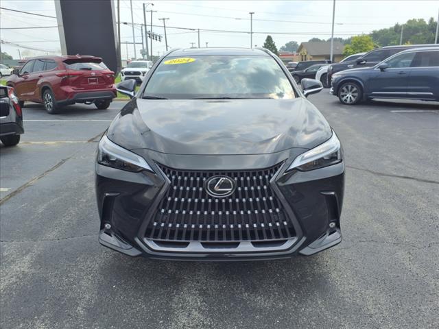 2024 Lexus NX 350 Premium