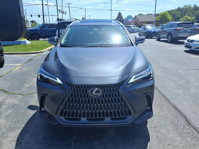 2025 Lexus NX 350 Premium