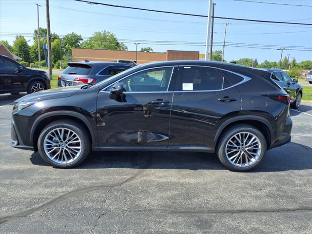 2025 Lexus NX 350 350 Luxury