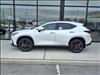 2025 Lexus NX 450h+ 450h+ Luxury
