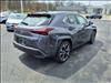 2025 Lexus UX 300h 300h Premium