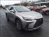 2025 Lexus NX 350 NX 350