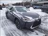 2025 Lexus UX 300h 300h Premium