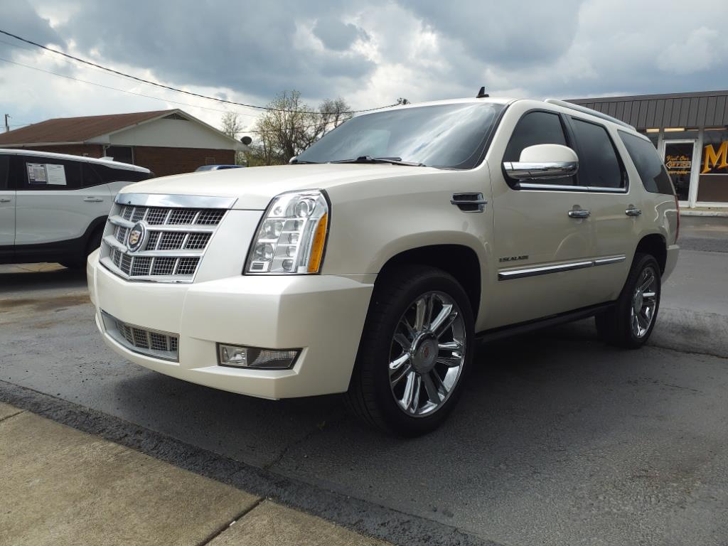 2013 Cadillac Escalade Platinum Edition
