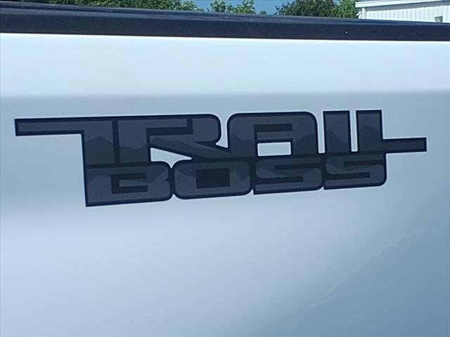 2025 Chevrolet Silverado 3500HD LTZ