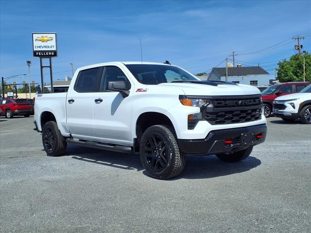 2025 Chevrolet Silverado 1500 4WD CREW CAB 147  CUSTOM