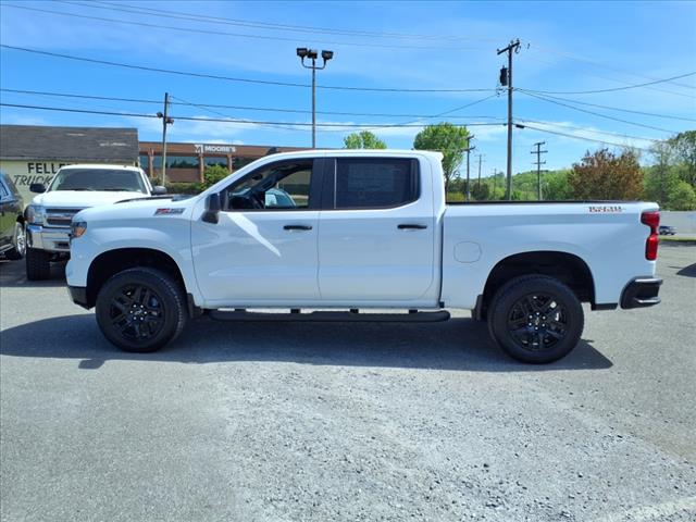 2025 Chevrolet Silverado 1500 4WD CREW CAB 147  CUSTOM