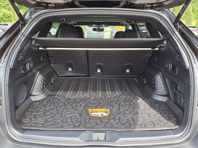 2024 Subaru Outback WILDERNESS CVT