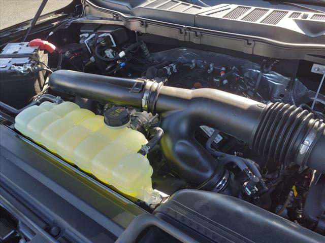 2024 Ford F-150 XLT - Photo 8