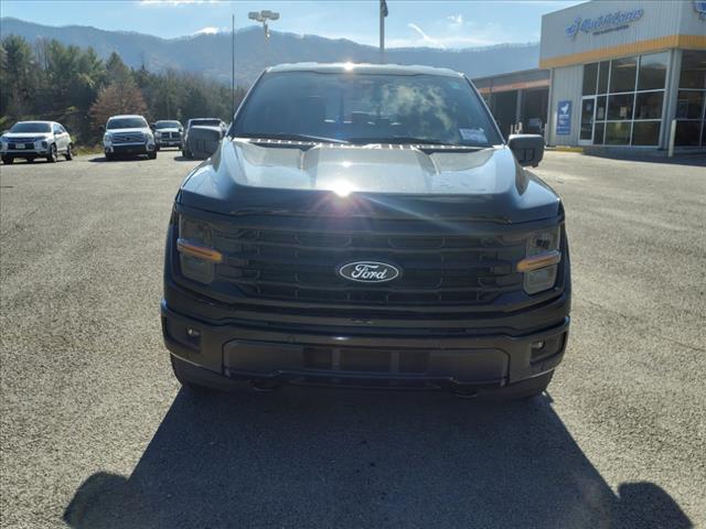 2024 Ford F-150 XLT - Photo 9