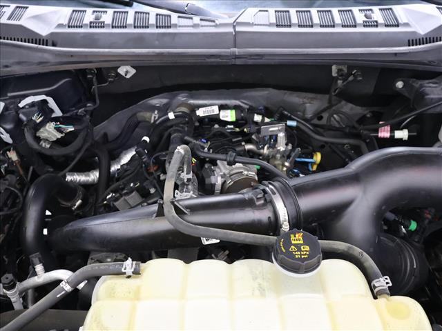 2020 Ford F-150 XL:D13868