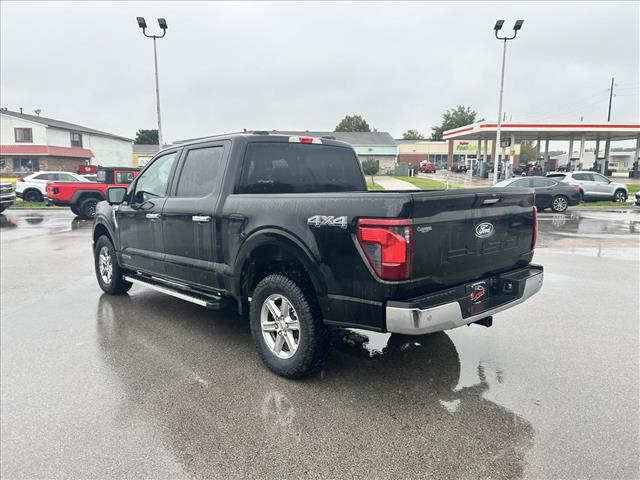 2024 Ford F-150 XLT:D14079