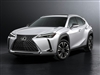 2020 Lexus UX 250h