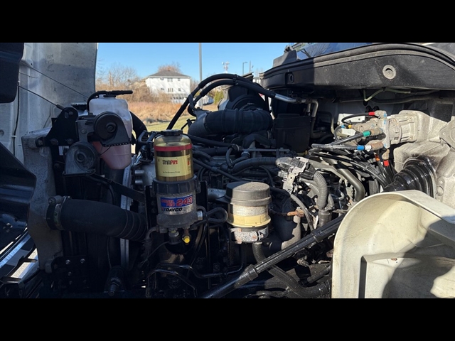 2019 Hino 268 / REEFER:2943