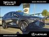 2025 Lexus NX 250