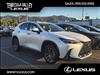 2025 Lexus NX 250