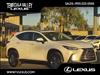 2025 Lexus NX 250