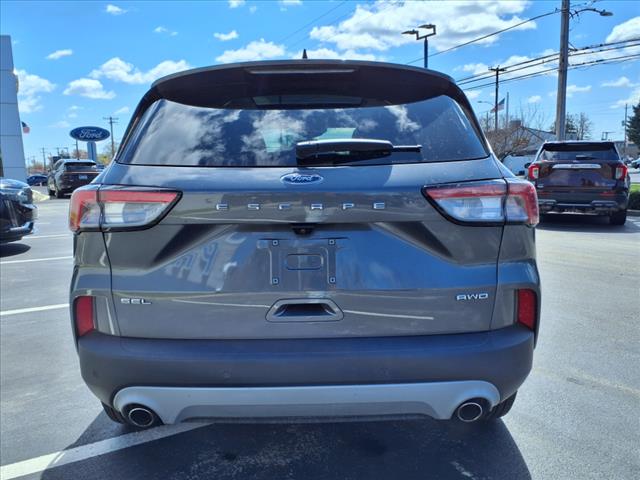 2022 Ford Escape SEL