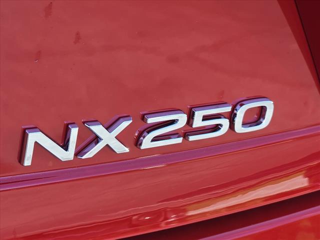 2025 Lexus NX 250 250 Premium