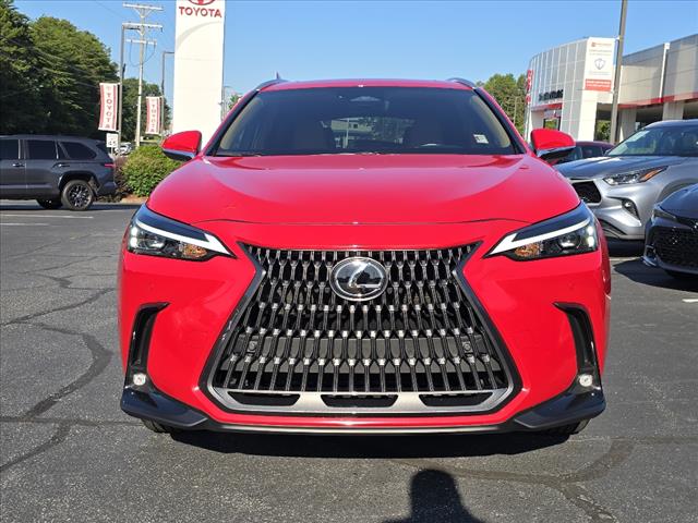 2025 Lexus NX 250 250 Premium