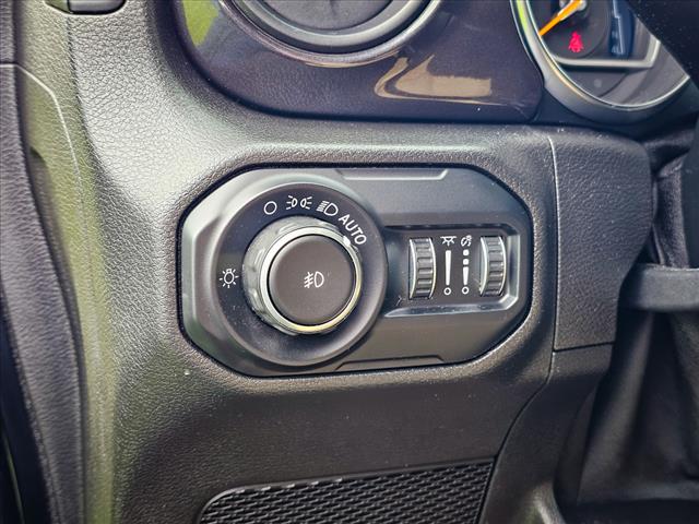 2020 Jeep Wrangler Black and Tan