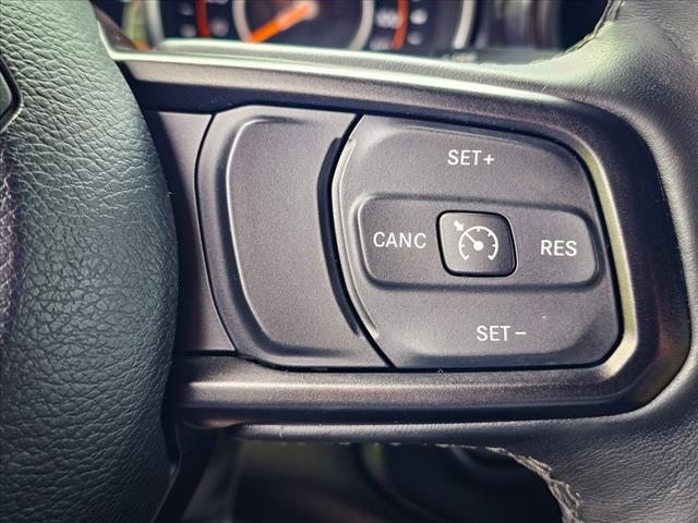 2020 Jeep Wrangler Black and Tan
