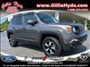 2020 Jeep Renegade